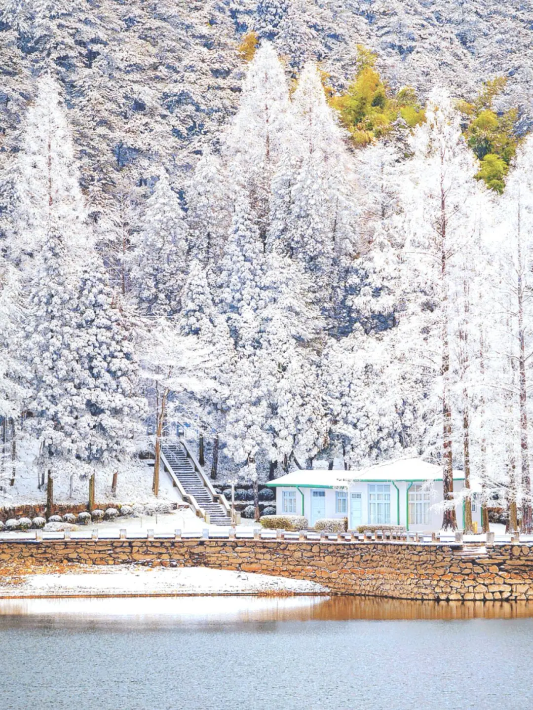 庐山下雪预测！今年冬天一定要来看雾凇雪景