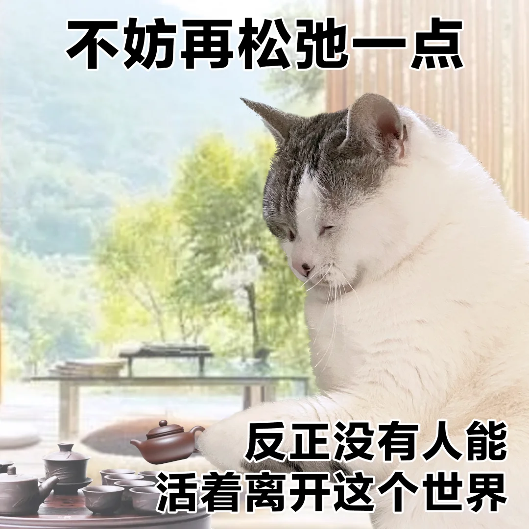表情包 | 年轻人超绝心态管理