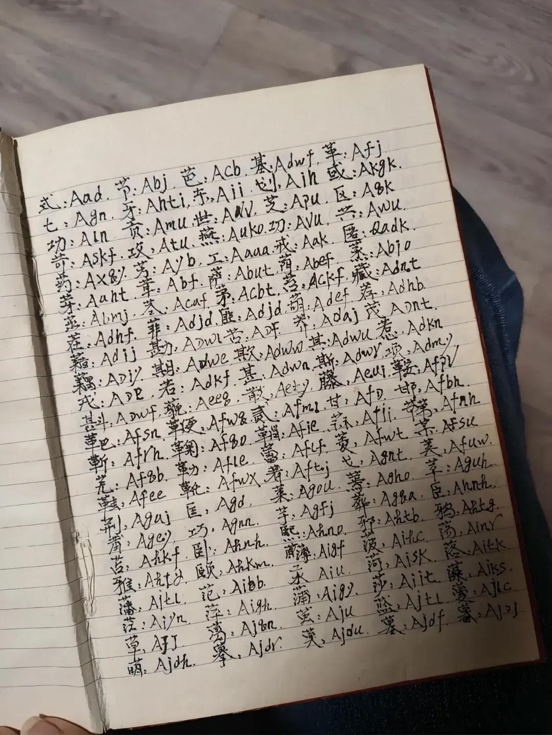 家里翻出一本我哥20多年前的笔记本，汉字后面是英文字母，完全看不懂啥意思？谁能破