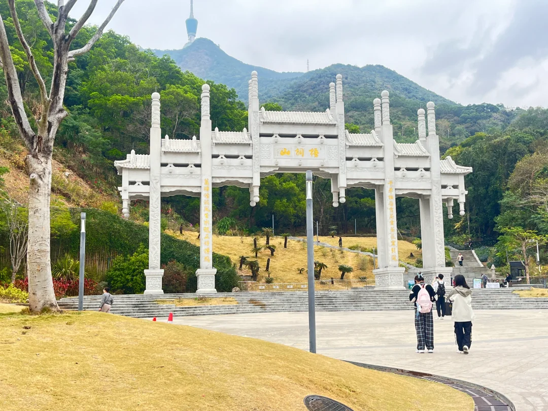 登山