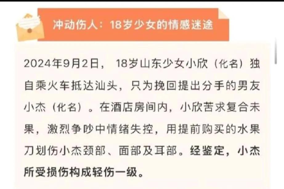 刚满18岁
提前买刀
情绪失控不是故意
捅大动脉轻伤一级
刑期6个月缓刑1年
缓