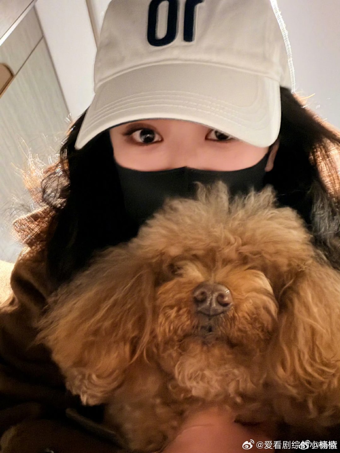 杨紫董竹君元宵吃汤圆杨紫晒没涂粉底的老年妆 杨紫董竹君元宵吃汤圆 