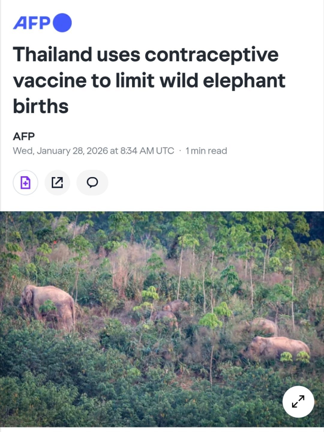 泰国人给母象打避孕疫苗！！¹ 因为泰国的野生大象越来越多，泰国人快受不了了。20