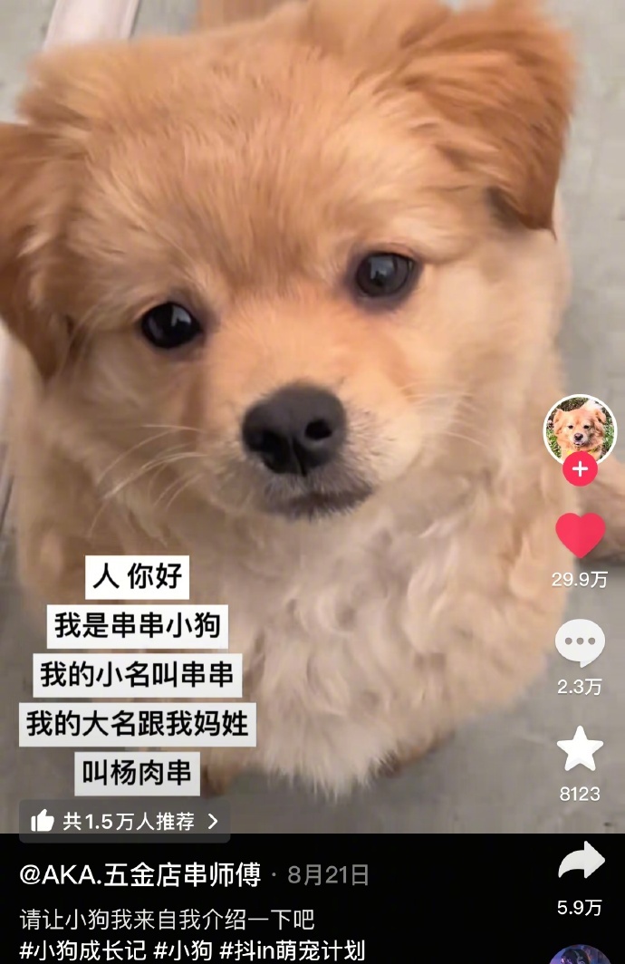 宠物名字背后的含义能有多萌 ​​​