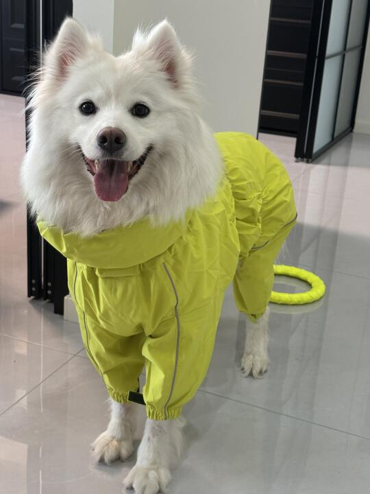 喂 小斗 你很拽啊！