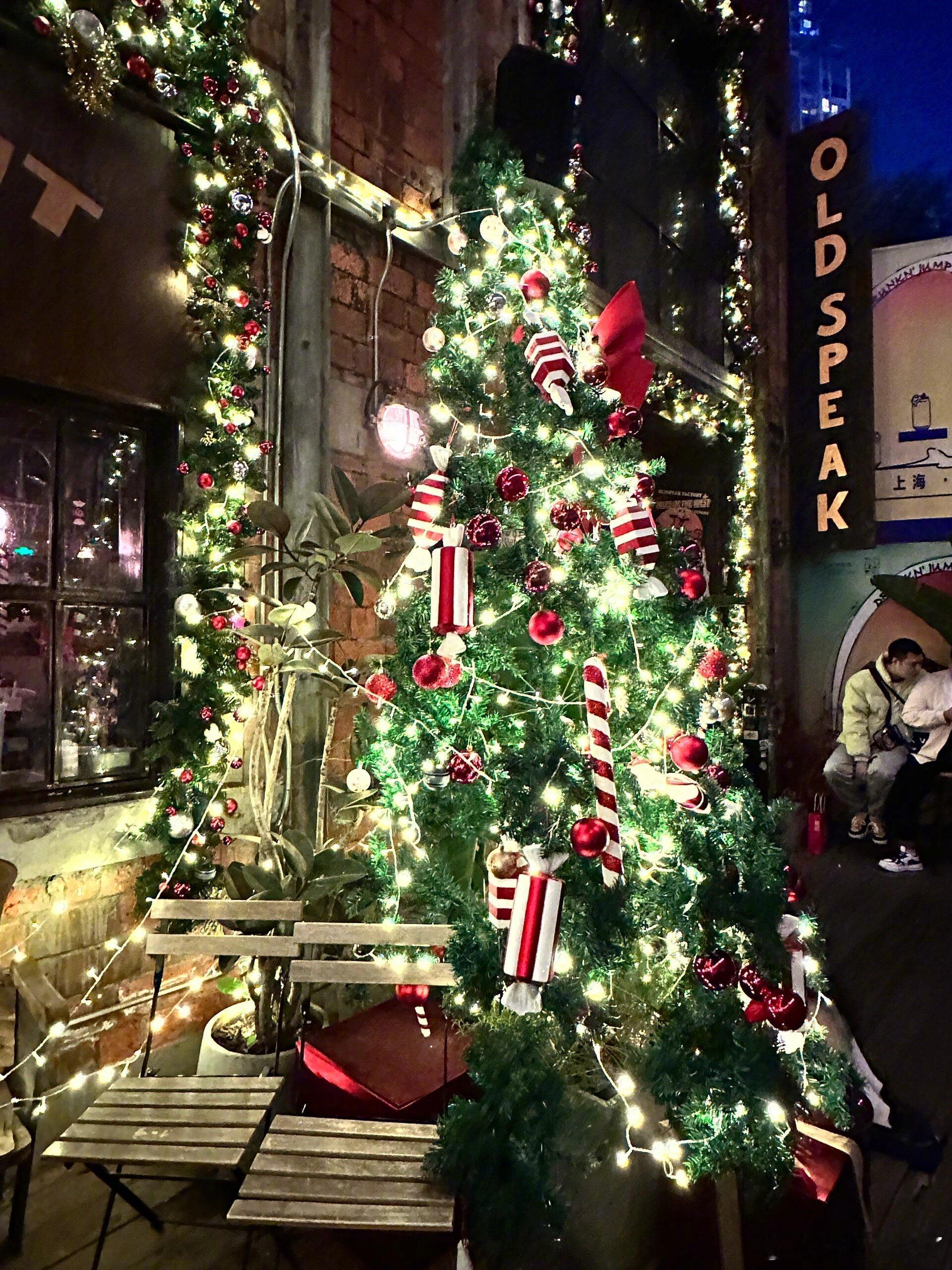 东郊记忆排队王！！🎄人多到底怎么拍？！我说这家餐厅真的不要太多人😭😭排队一