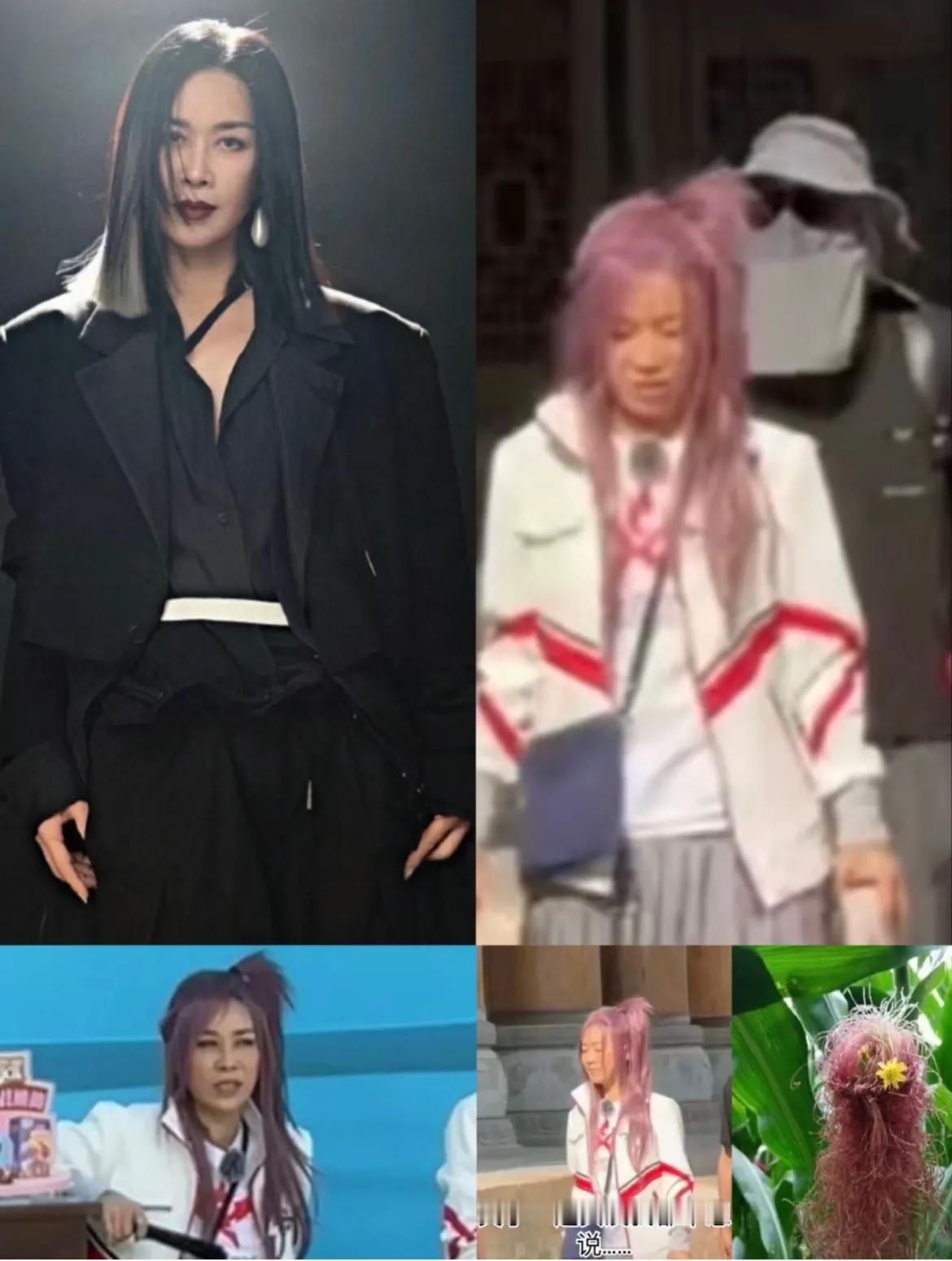 英子你能不能把歌手的歌好好练练，别去当冲天小魔女了行不行？

英子又要录歌手又要