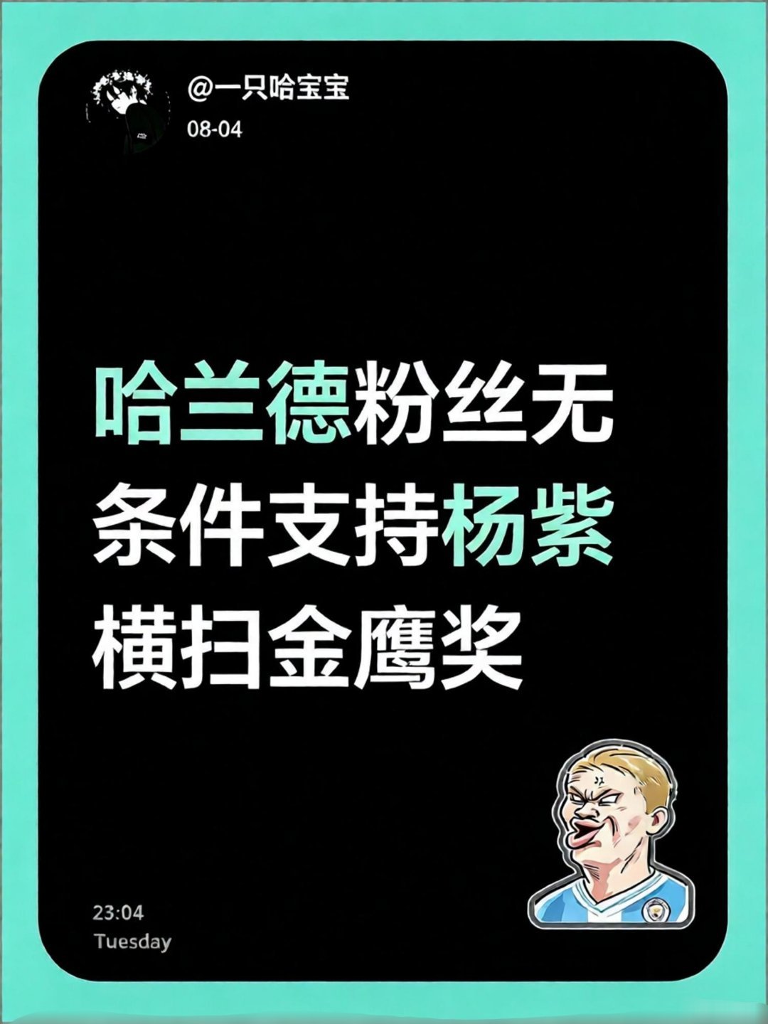 金鹰奖狼来了2026年金鹰奖视后预测国际巨星哈兰德粉丝也来支持杨紫了，杨紫威武。