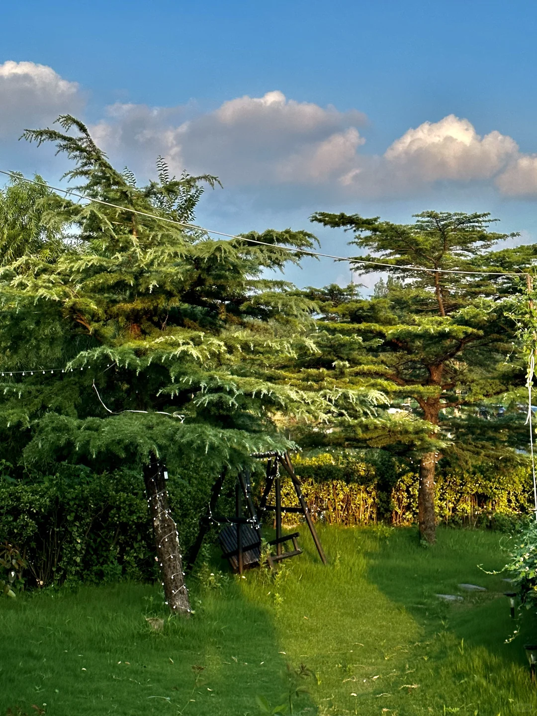 北京望京（live图）！！🌲盛夏森林吃顿烤肉