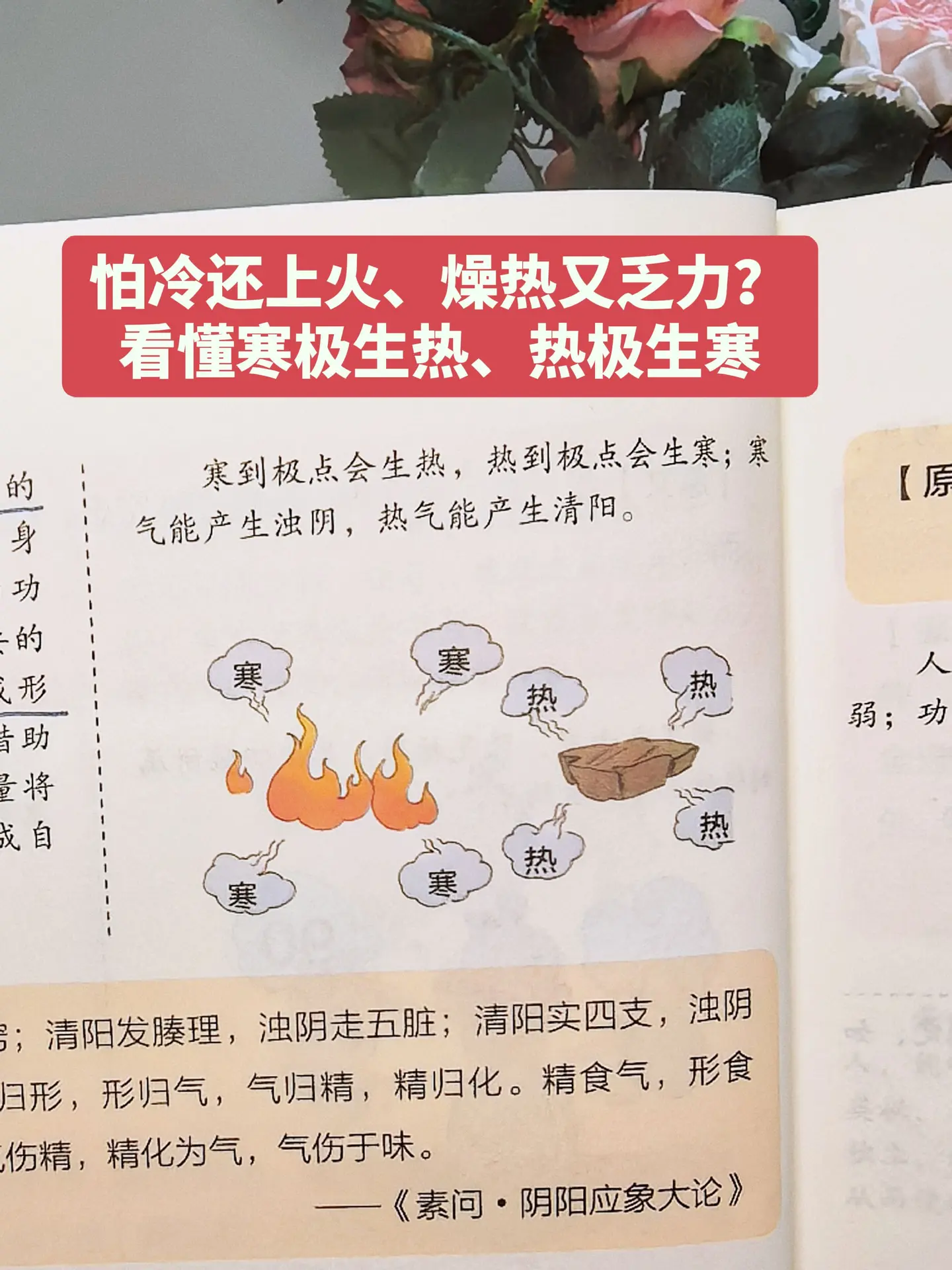冷热走极端反而伤身？这些小细节要注意。✨ 老话说“寒久生虚火，热久变虚...