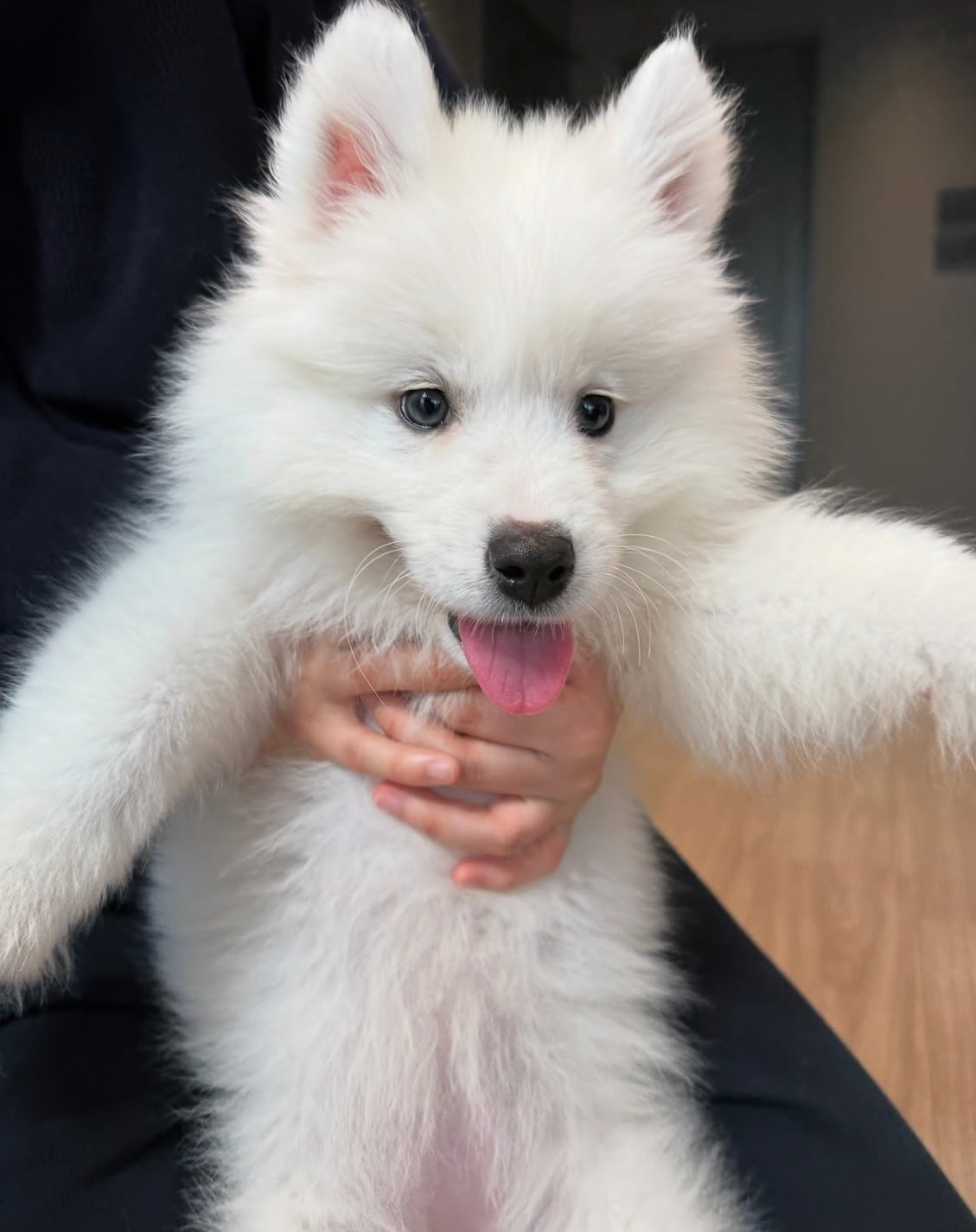 宝宝你是一只小兔纸 