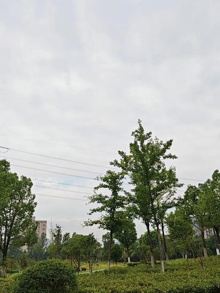 50岁后，身上这3处越“软”，越能活过90岁！三个秘法请收好

人到中年，最怕倒