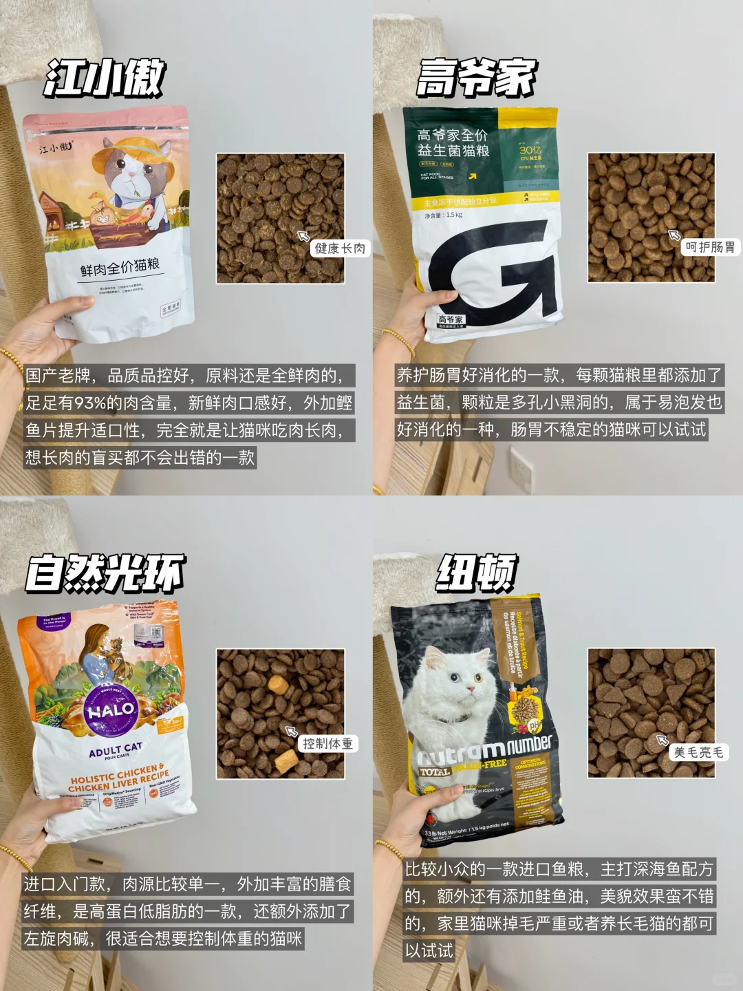 4款回购的高性价比猫粮推荐！有你家的吗