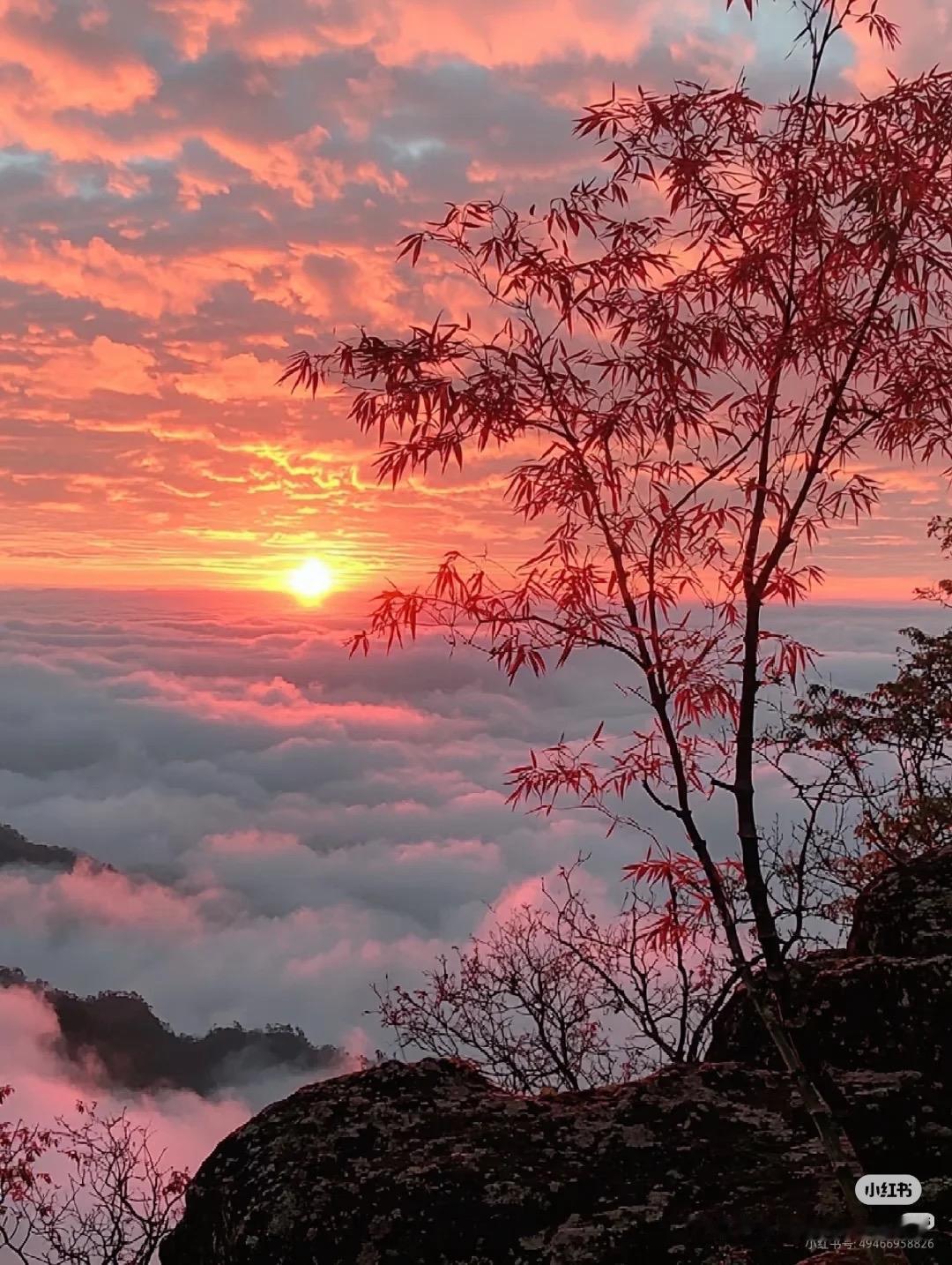 好看风景照分享