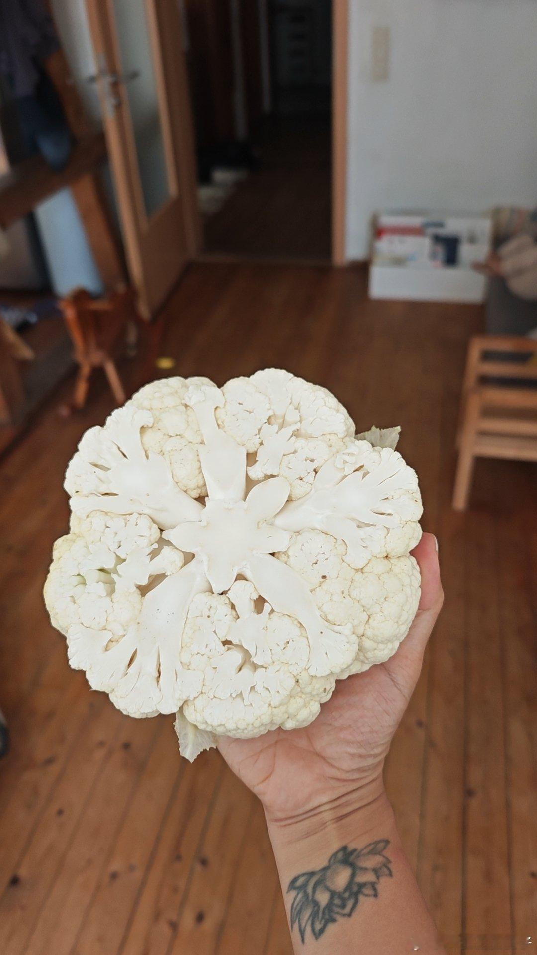 谁切半个花菜会这样切啊！居家办公，中午理查德午休下楼来给自己做午饭，问我，可以用