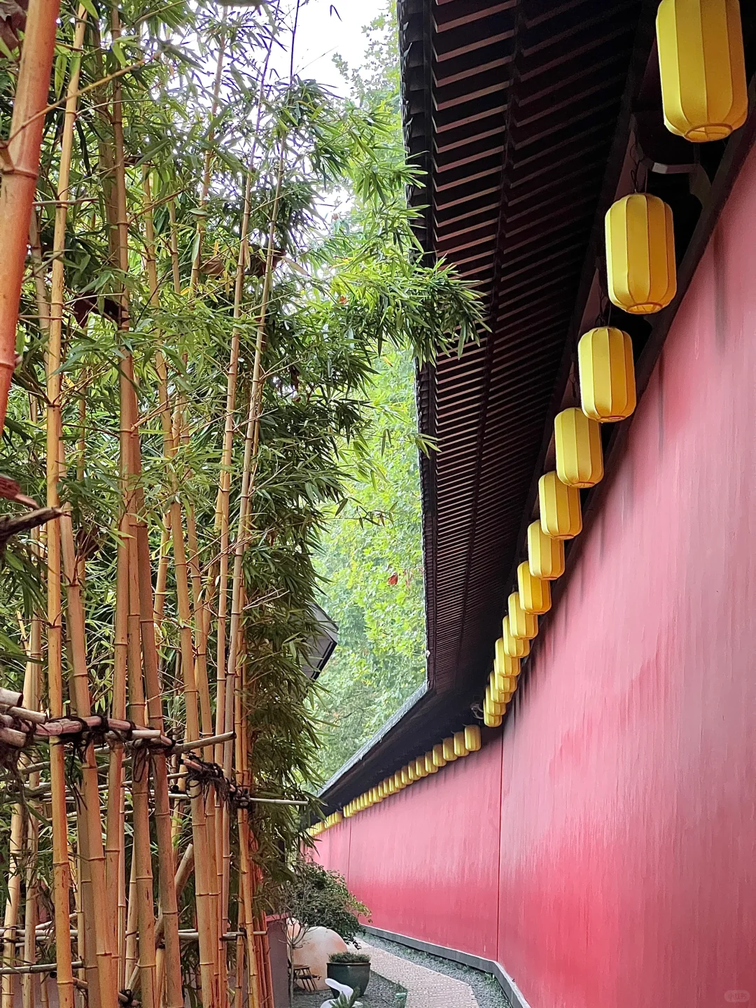 来杭州别只去西湖了🏮德寿宫也很美…
