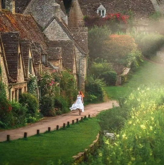 如果什么都是淡淡的就好了如果什么都是淡淡的就好了，没有浓烈的情绪起伏，没有多余的