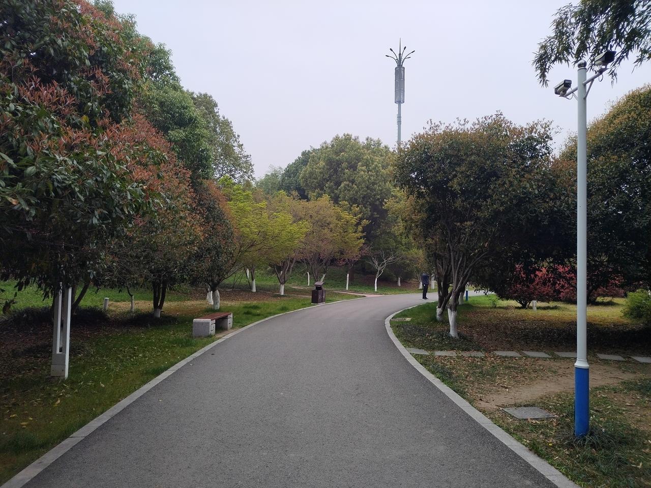 【趣联联趣】
上联：叙事，彼岸花开春已老；
下联：？
【一字千金】
《记郑丽文携