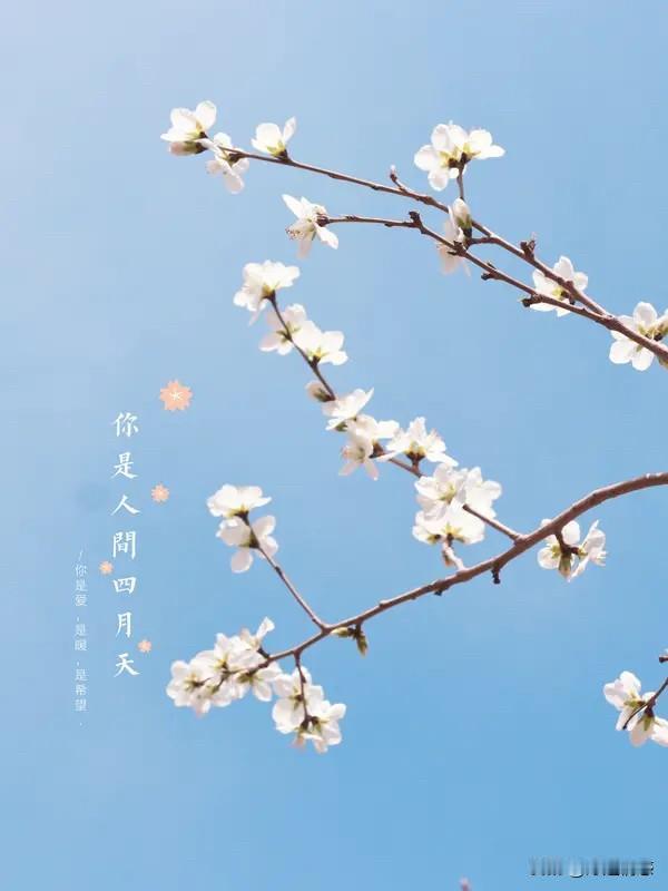 【最新星座快讯】

春风得意马蹄急！今年4月，三大星座要迎来超强逆袭，运势好得让