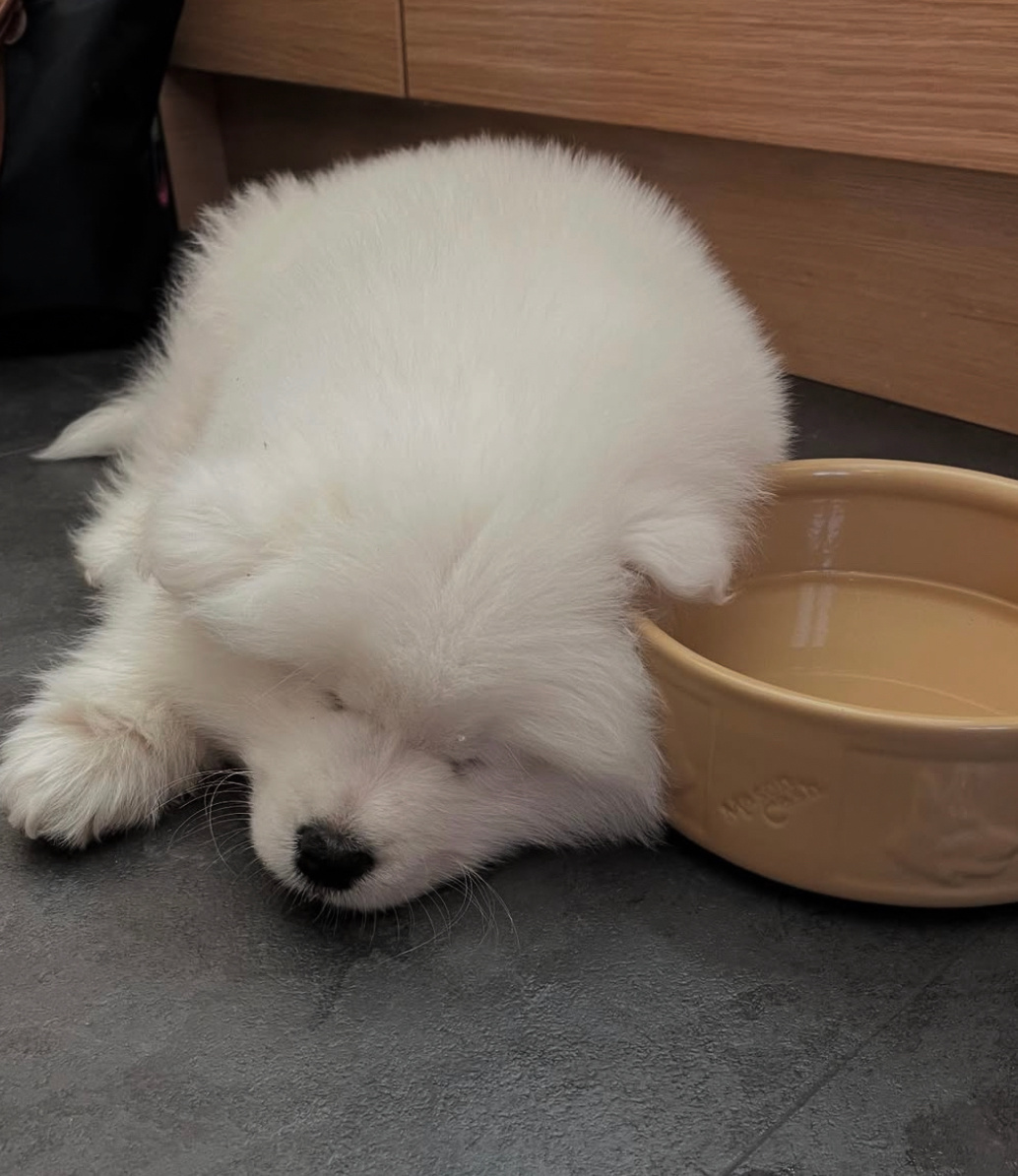 晚安耶 ​​​