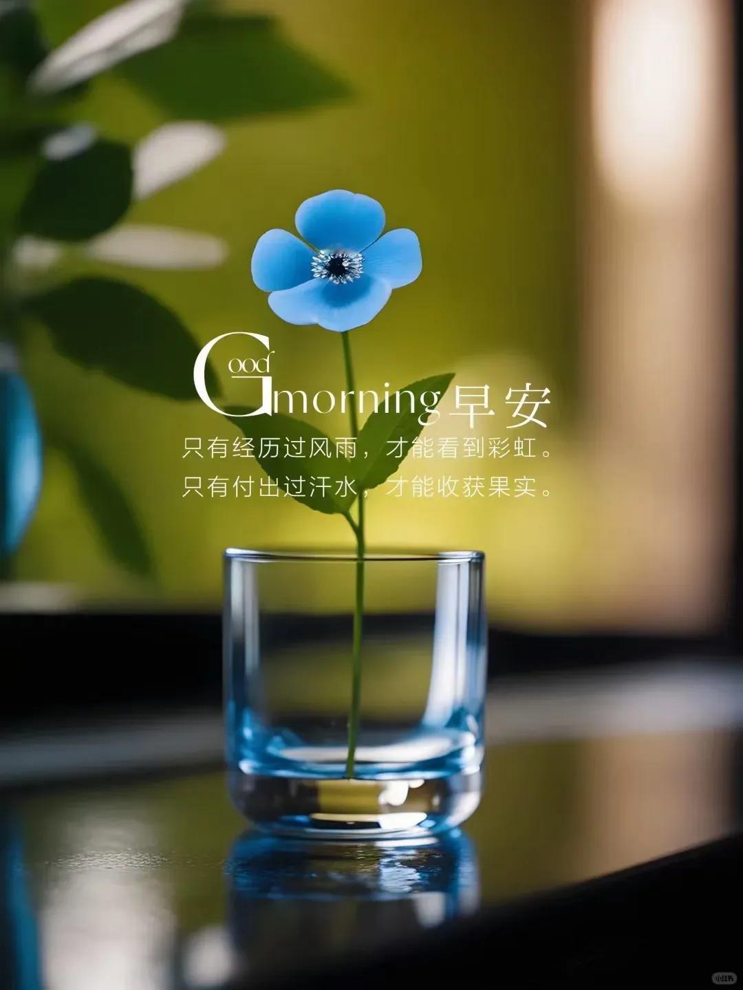 世界何时铸剑为梨!
        昨天给学生讲杜甫的《有壕史》,与许多年前讲完