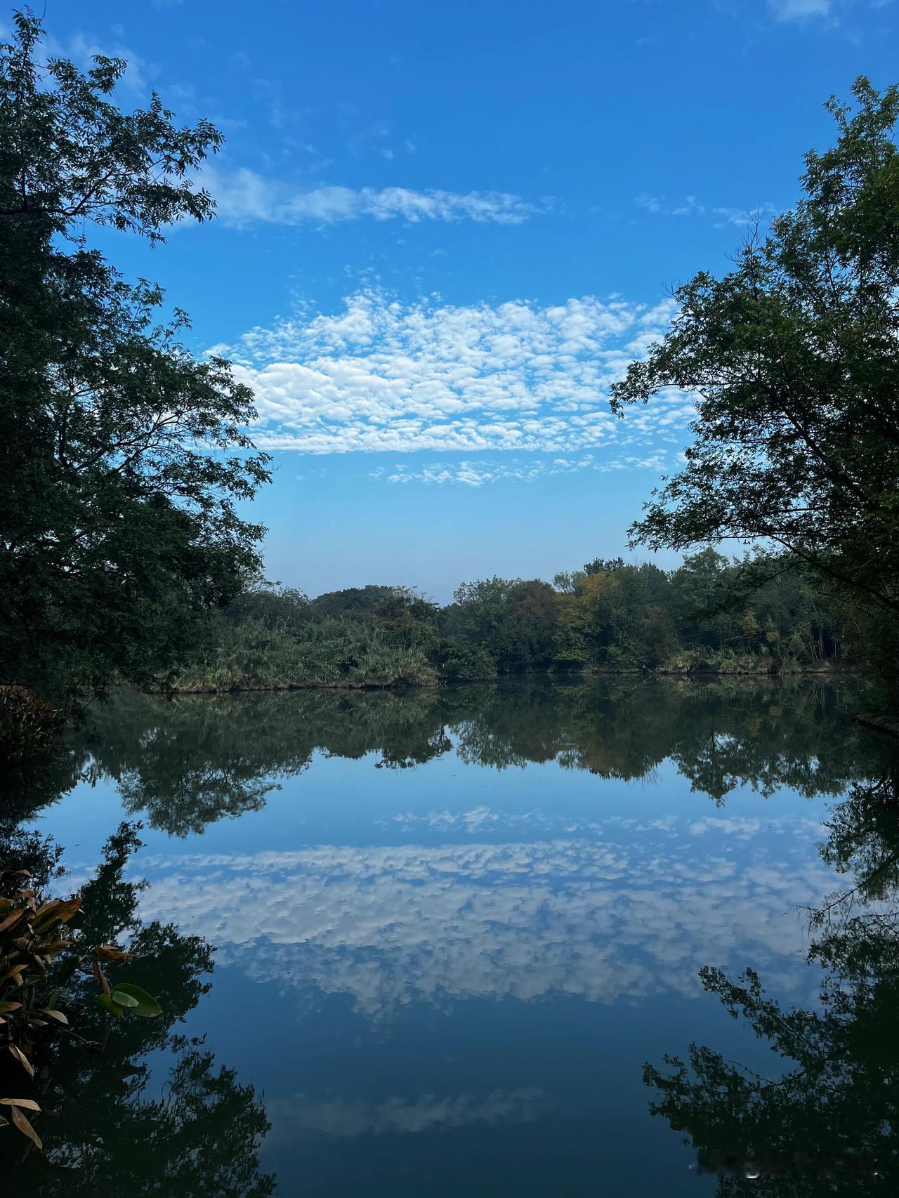 杭州西溪湿地公园
杭州城市之肺
比西湖名气小
但是绿化非常好
空气清新
适合晨跑