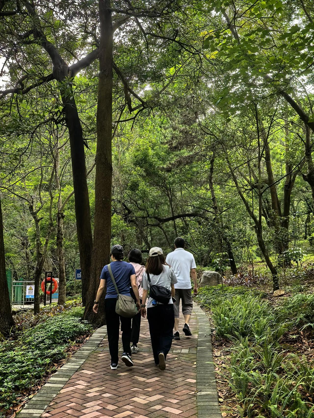 聚龙山生态公园，名字很好听。
下午去转了转，遗憾天飘起了细雨，匆匆的领略了绿树成