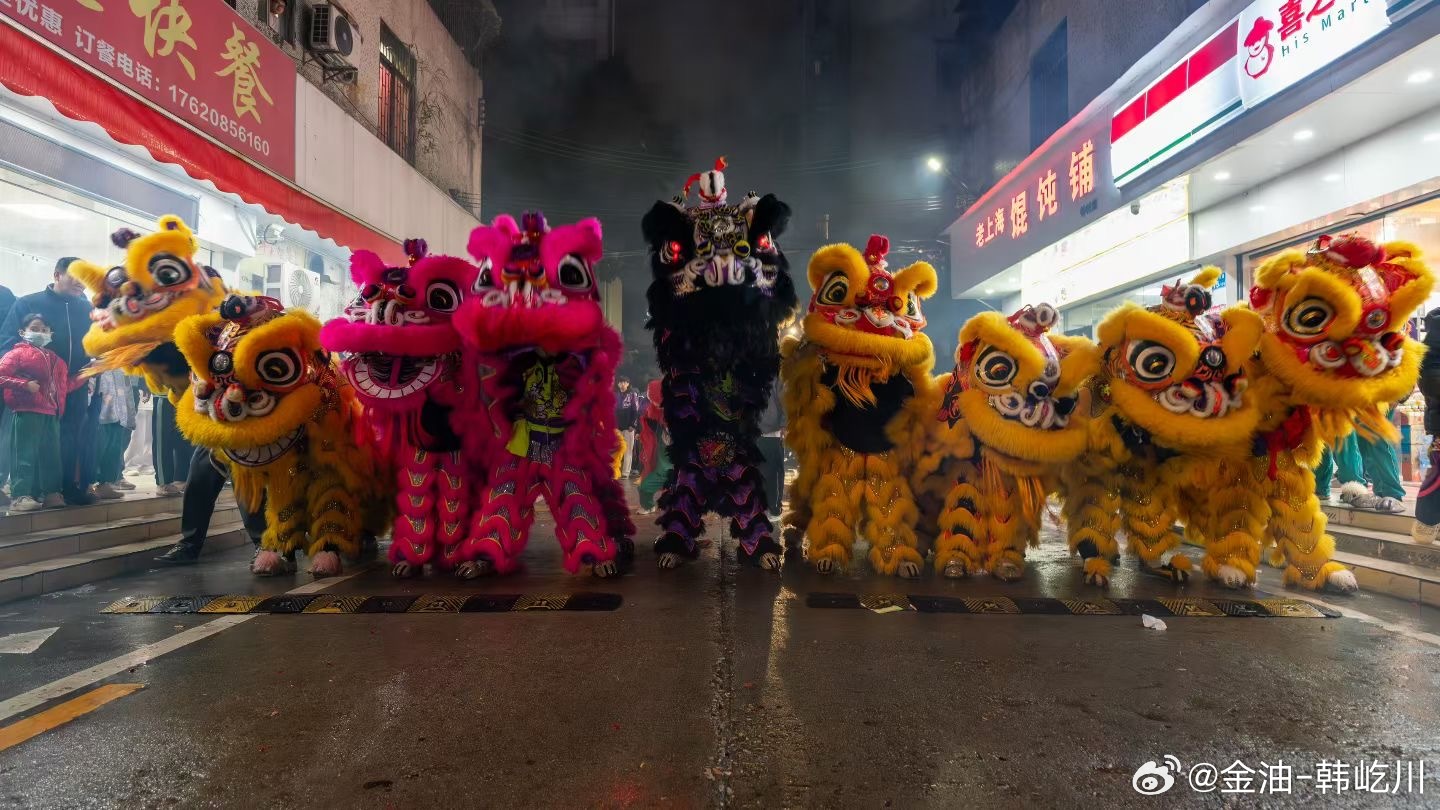 瑞狮踏歌辞旧岁，火树银花不夜天回来最后还看了场演出，这年过的很精彩 舞狮周末愉快