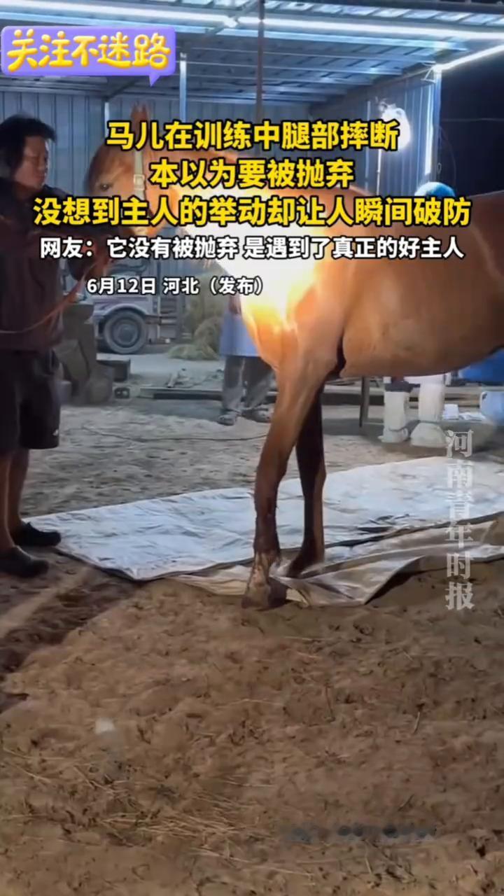 马儿在训练中腿部摔断，本以为要被抛弃，没想到主人的举动却让人瞬间破防。
河南青年