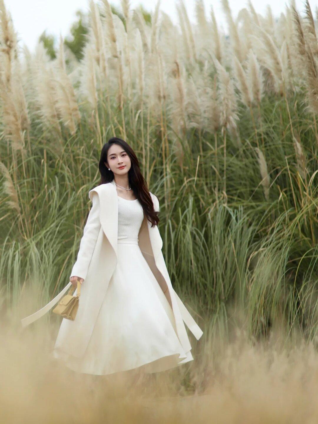 秋日限定🍂芦苇荡太出片了
