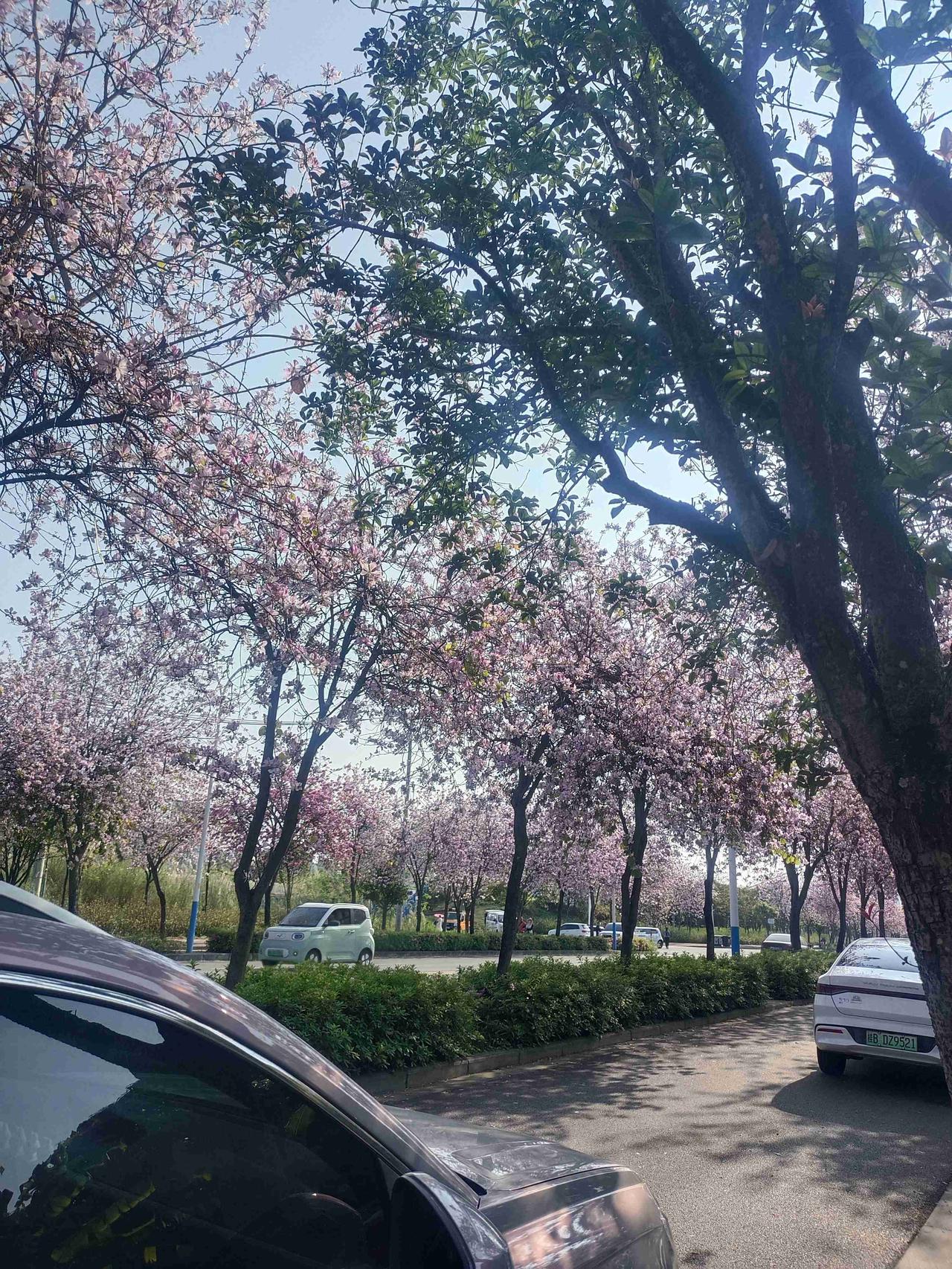 我的今日状态：😁轻松愉快
我这里的天气：☀️晴天

今天是个大晴天，刚好适合出