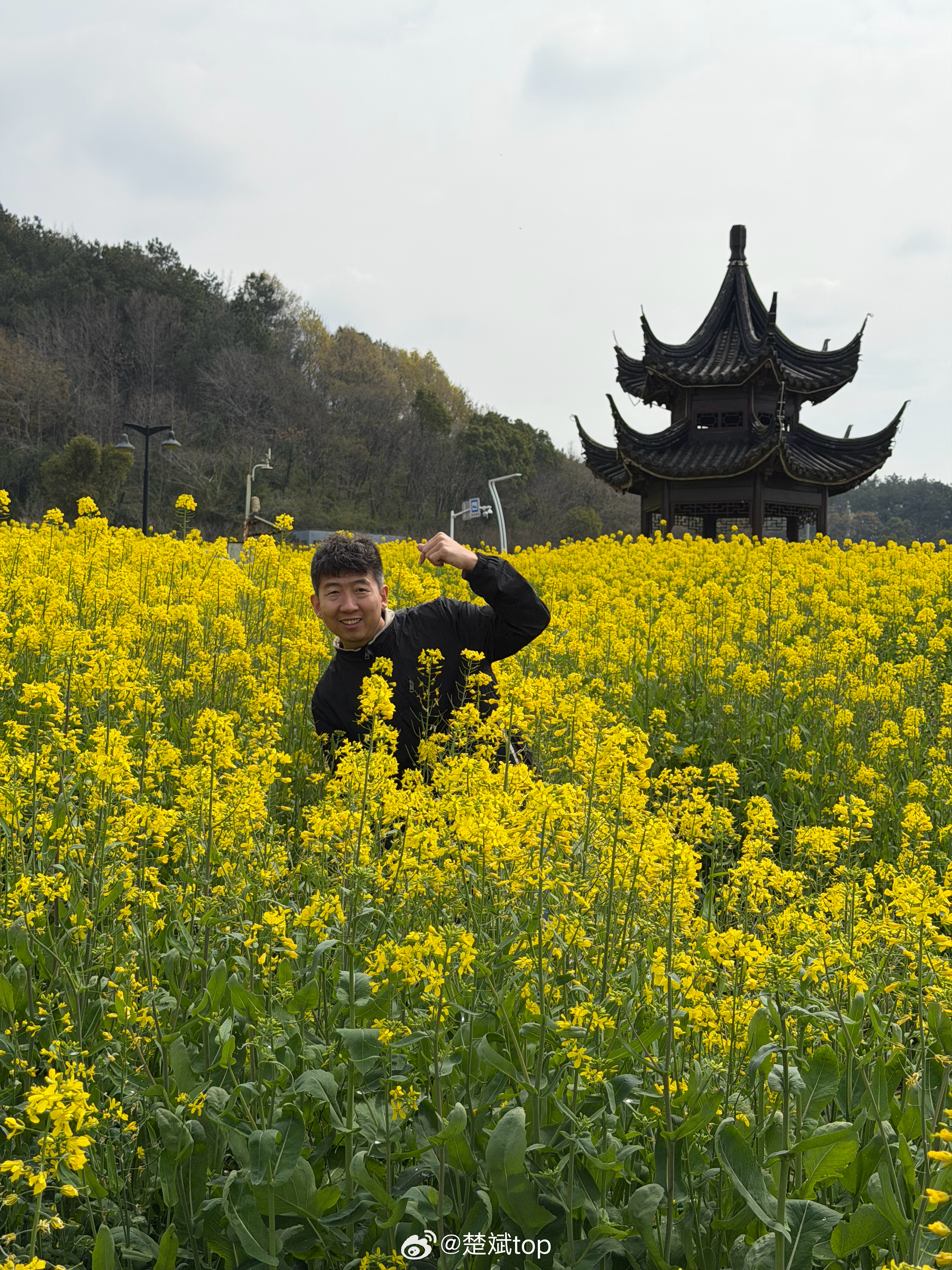 油菜花美照送给大家 宁波·宁波东钱湖旅游度假区