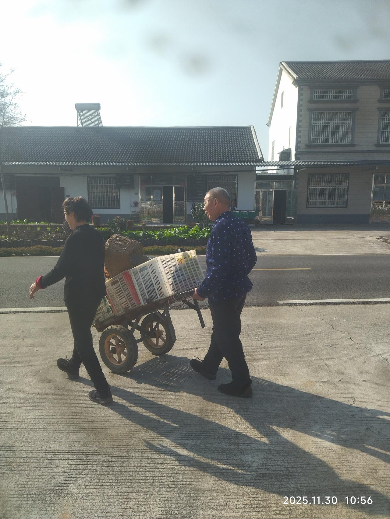 农村老人之所以有这样的体力和精力继续劳作，和他们一生的生活方式息息相关。他们一辈