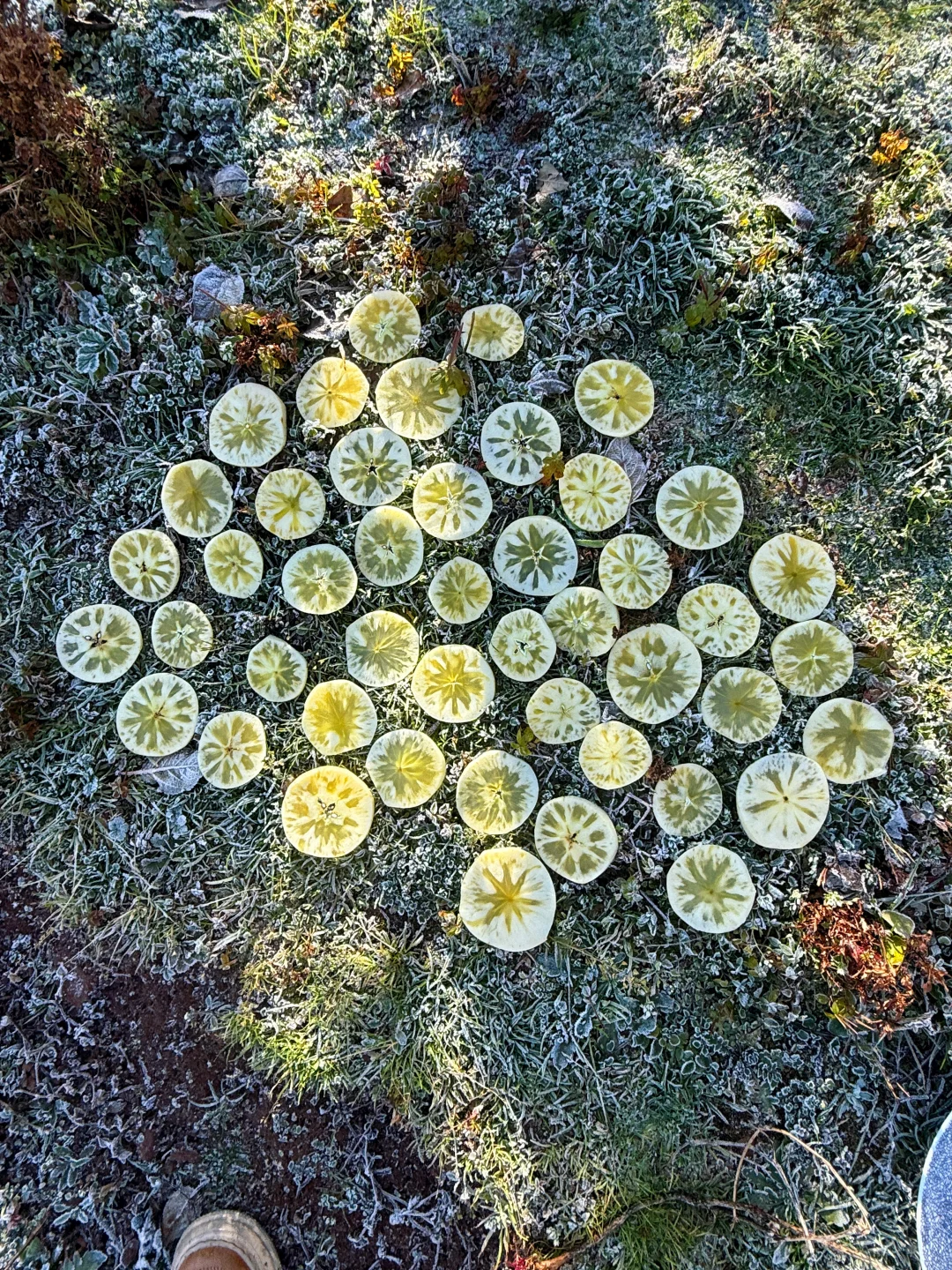 抓住尾巴哦！再不吃就真的是要等明年了！