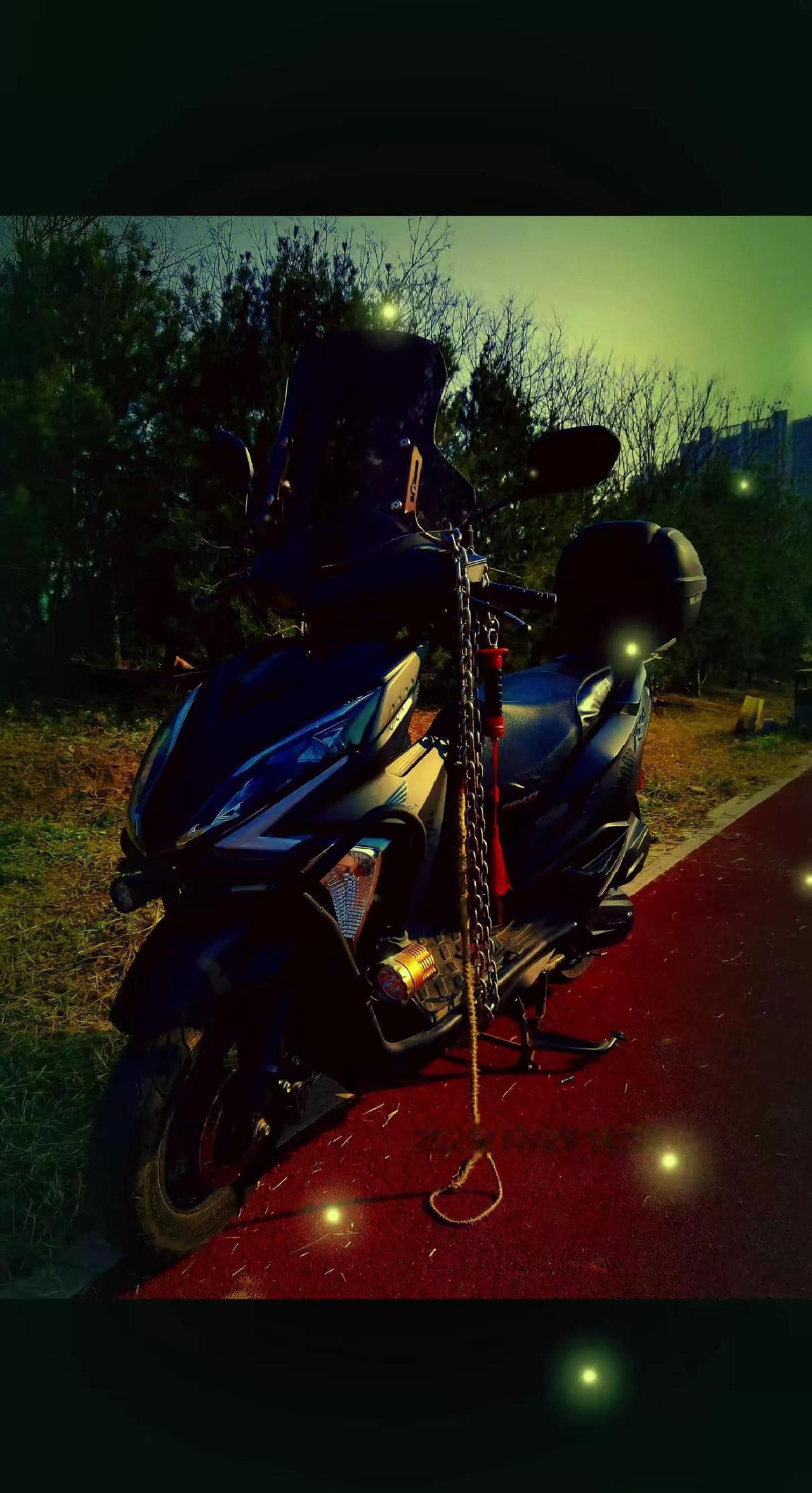 文明驾驶/遵章守法/安全第一