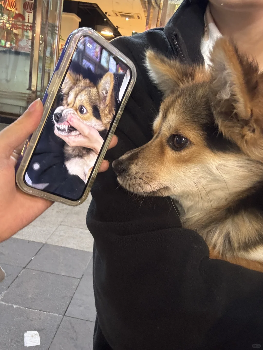 这个呲牙咧嘴的粗鲁货不是我吧？