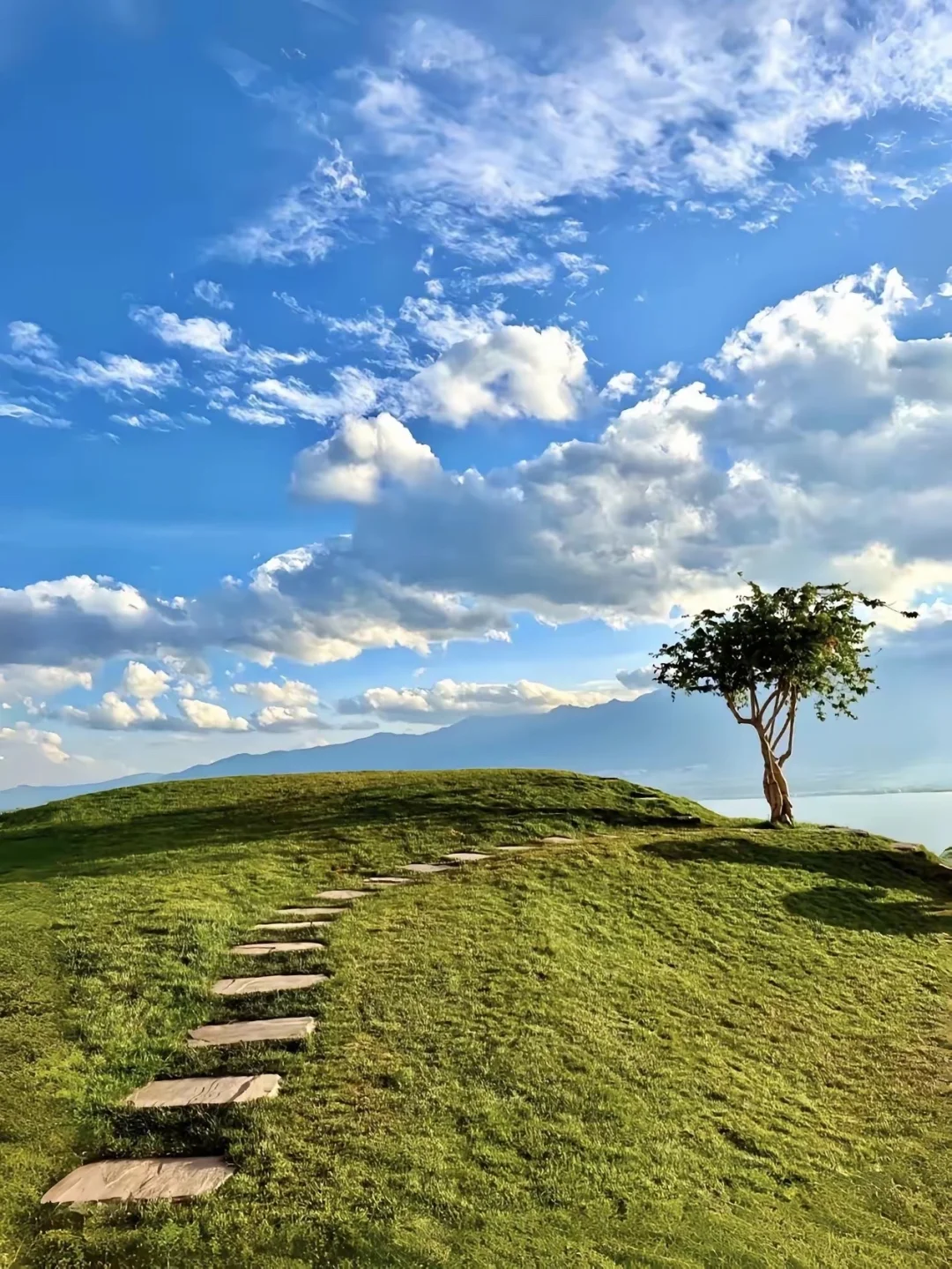 君子有所为，有所不为。就是能清晰的了悟取舍，什么该取，什么该舍。知道自...