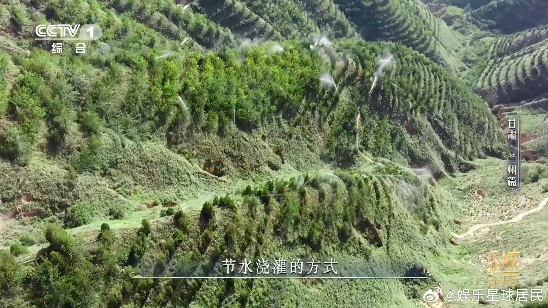 兰州人70年种活了1.6亿棵树 干旱、风沙、缺水都没能难住他们💪，靠着不服输的