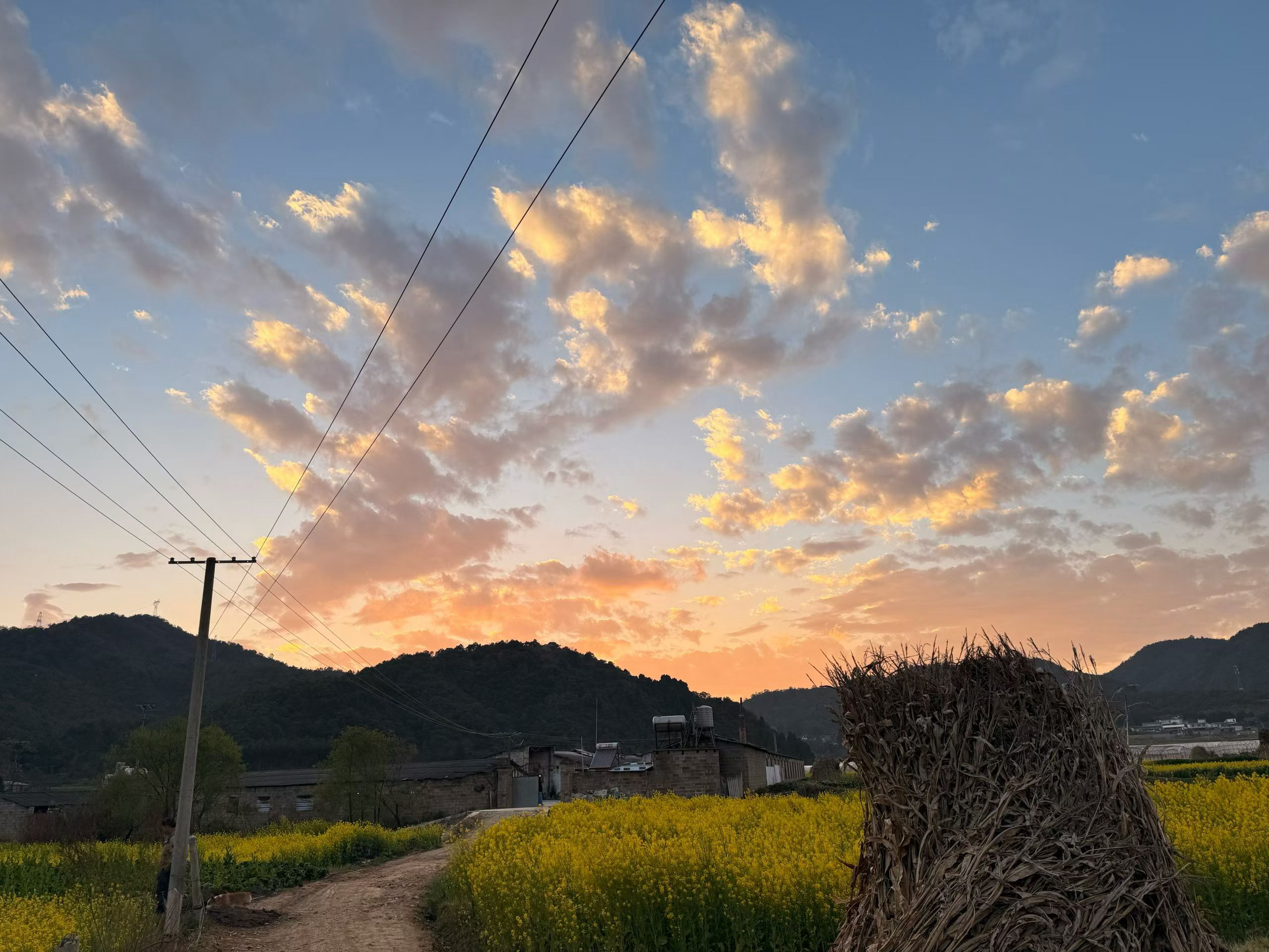 用阅读重塑你的认知我的私人宝藏书单书评 一面看水，一面想你上个月收拾书架，翻出一