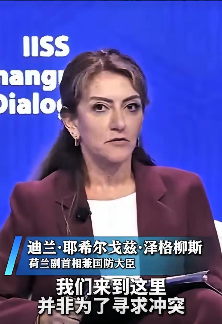 真硬气！31号“香会”期间中国代表刘万侠大校现场向荷兰副首相兼国防大臣迪兰·耶希