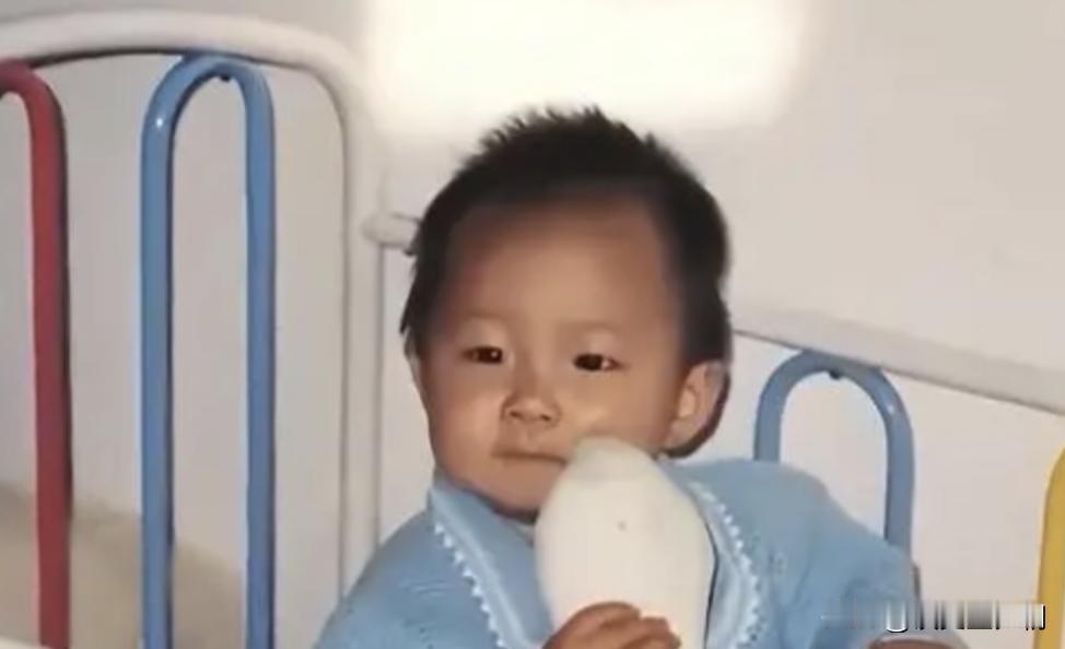 1997年，一对博士夫妇生下“神童”女儿，两岁就认识上万个汉字，还能流利的背诵古