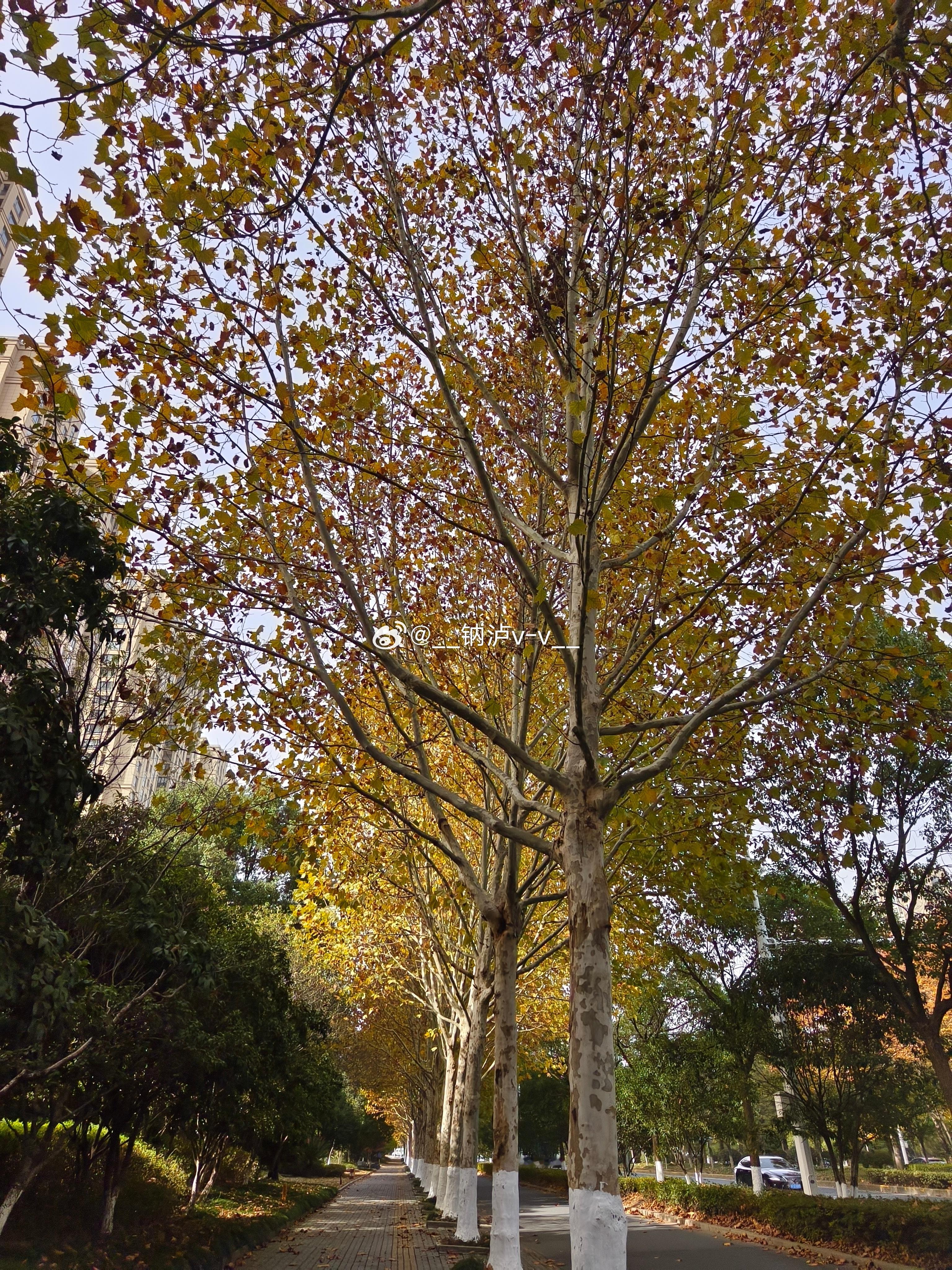 冬天真的来了！ 