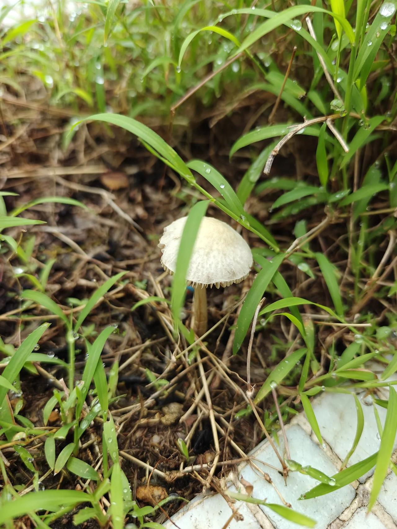 当一个人熬过了最艰难的时候， 就不想再去寻找任何依靠。 沉默不是因为词穷， 而是