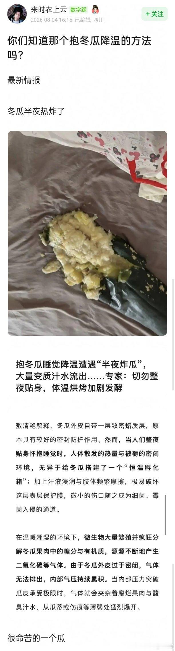 抱冬瓜降温是会爆炸的
