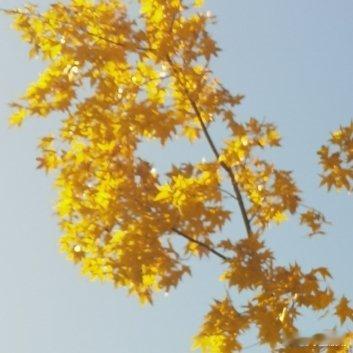 分手后最该做的复盘，不是 “我哪里做错了”，而是 “这段关系为什么总让我重复旧伤