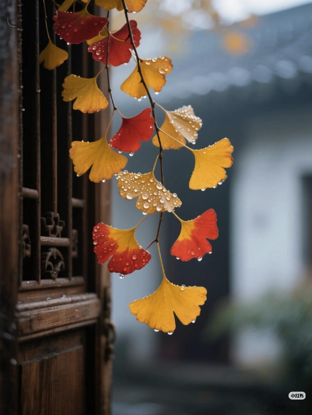 交换你秋天的美好