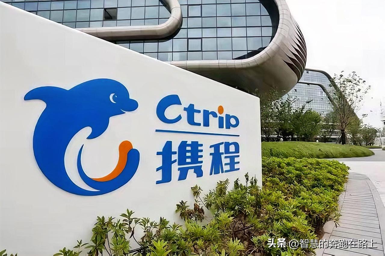 携程的会员是没用的，因为省不了什么钱还有可能用多了携程会杀熟，大家对携程意见大很