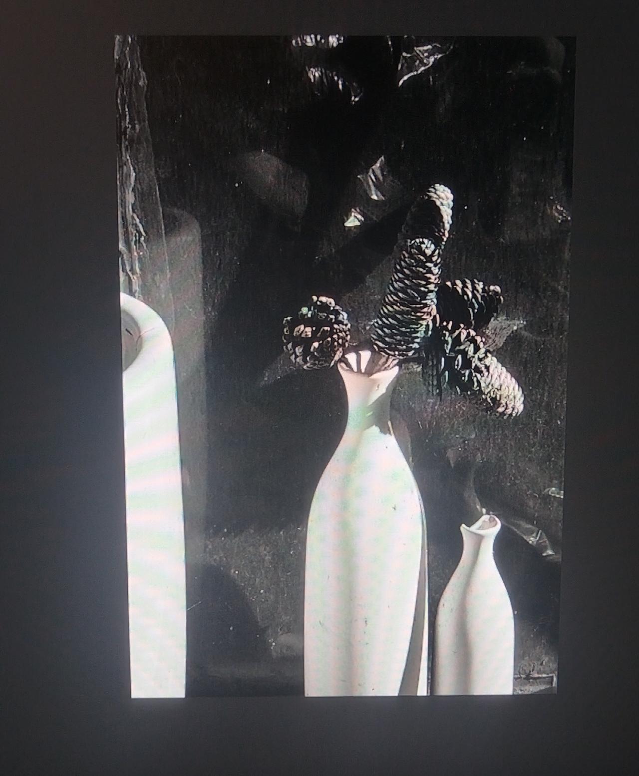 目击道存/心照神交，一家三口。

生活中的非常不起眼的一个角落，居然藏着，如此有