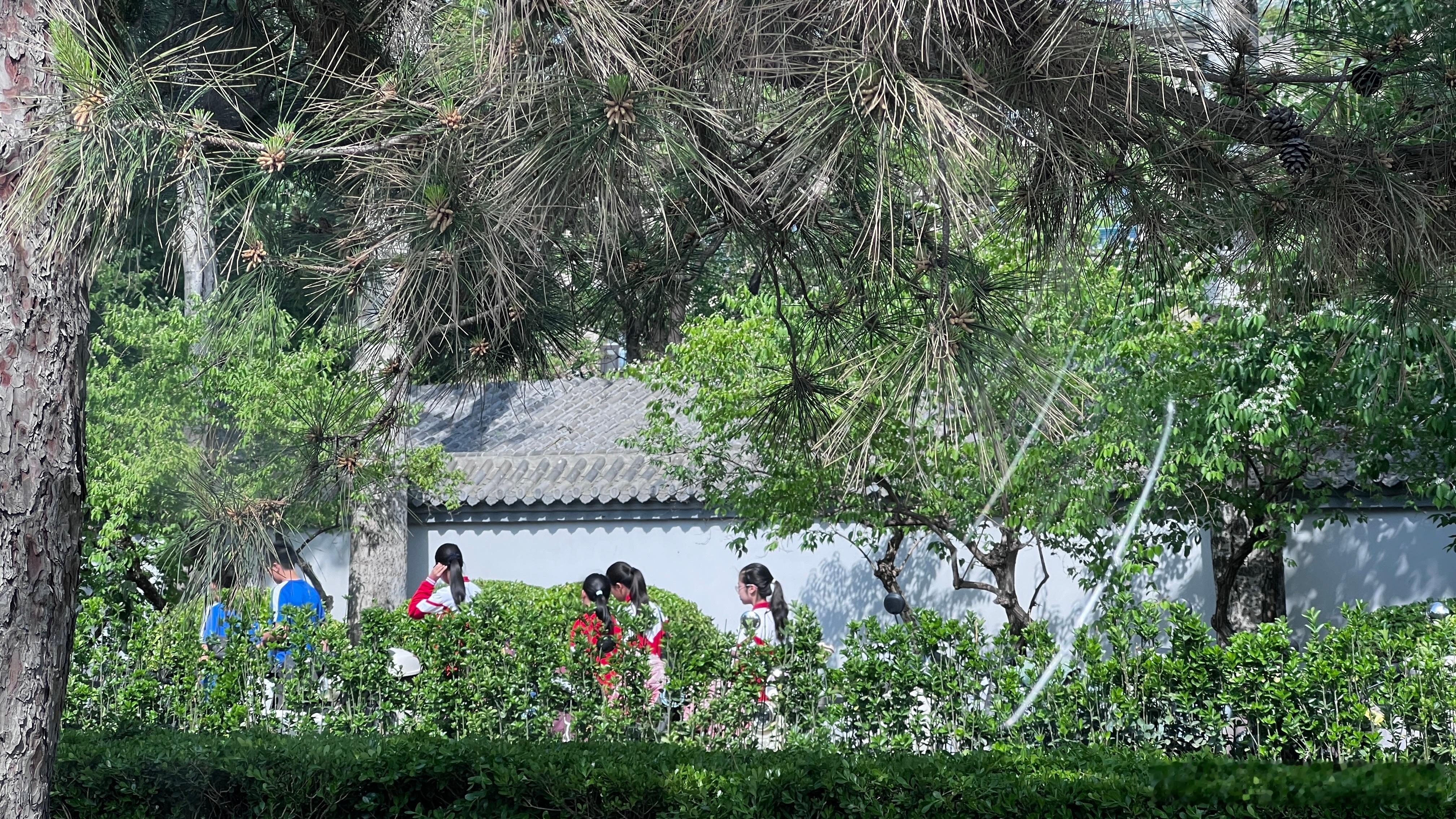 松影、白墙、奔跑的校服，是被按下慢放键的春日。青春