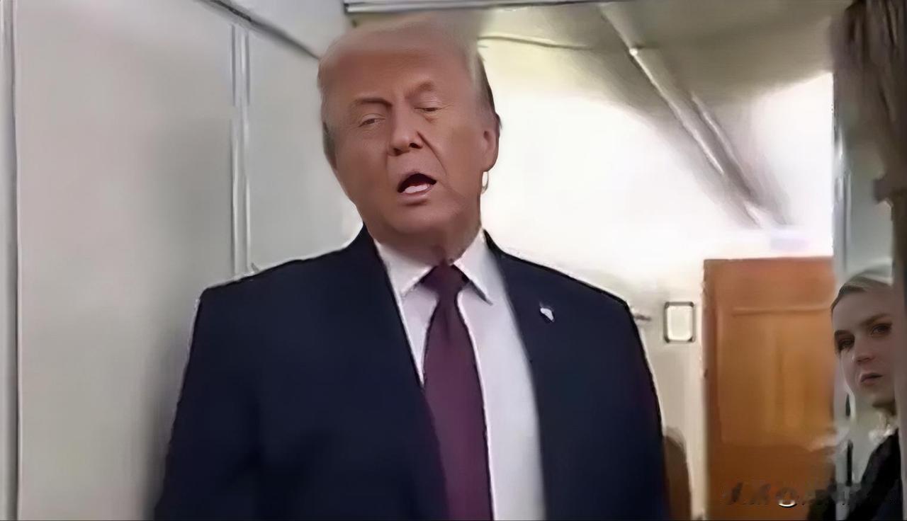 记者:“您仍然认为英国或法国有可能加入和平委员会吗？”

特朗普:“呃…我认为他